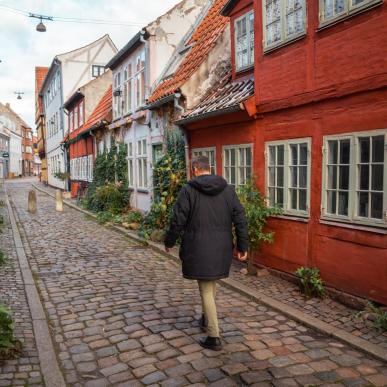 Helsingør huse